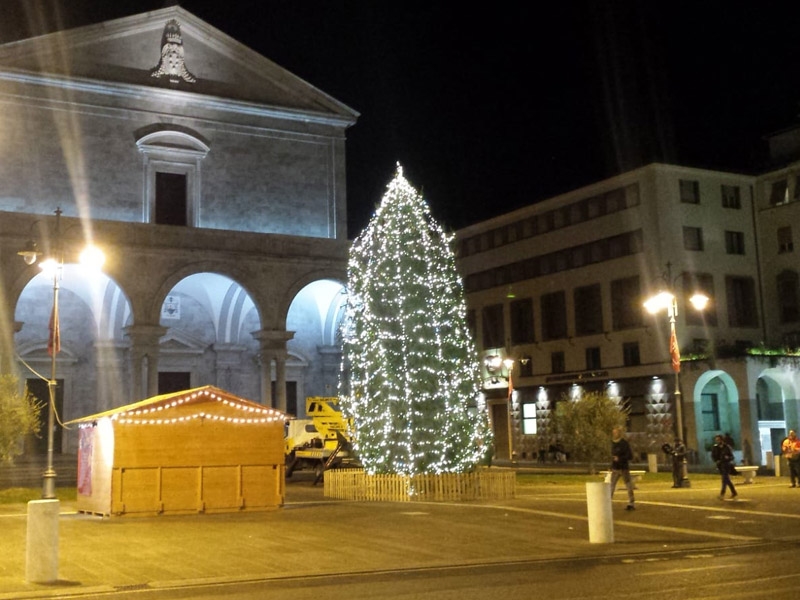 Albero Di Natale Grande.Acceso L Albero Di Natale In Piazza Grande Citta Di Livorno