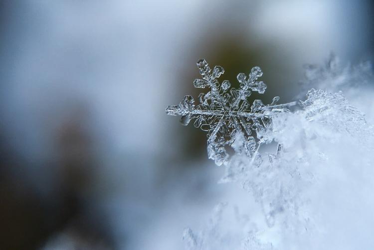 Immagine di un fiocco di neve